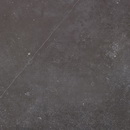 Fossil
