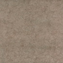 Vegha